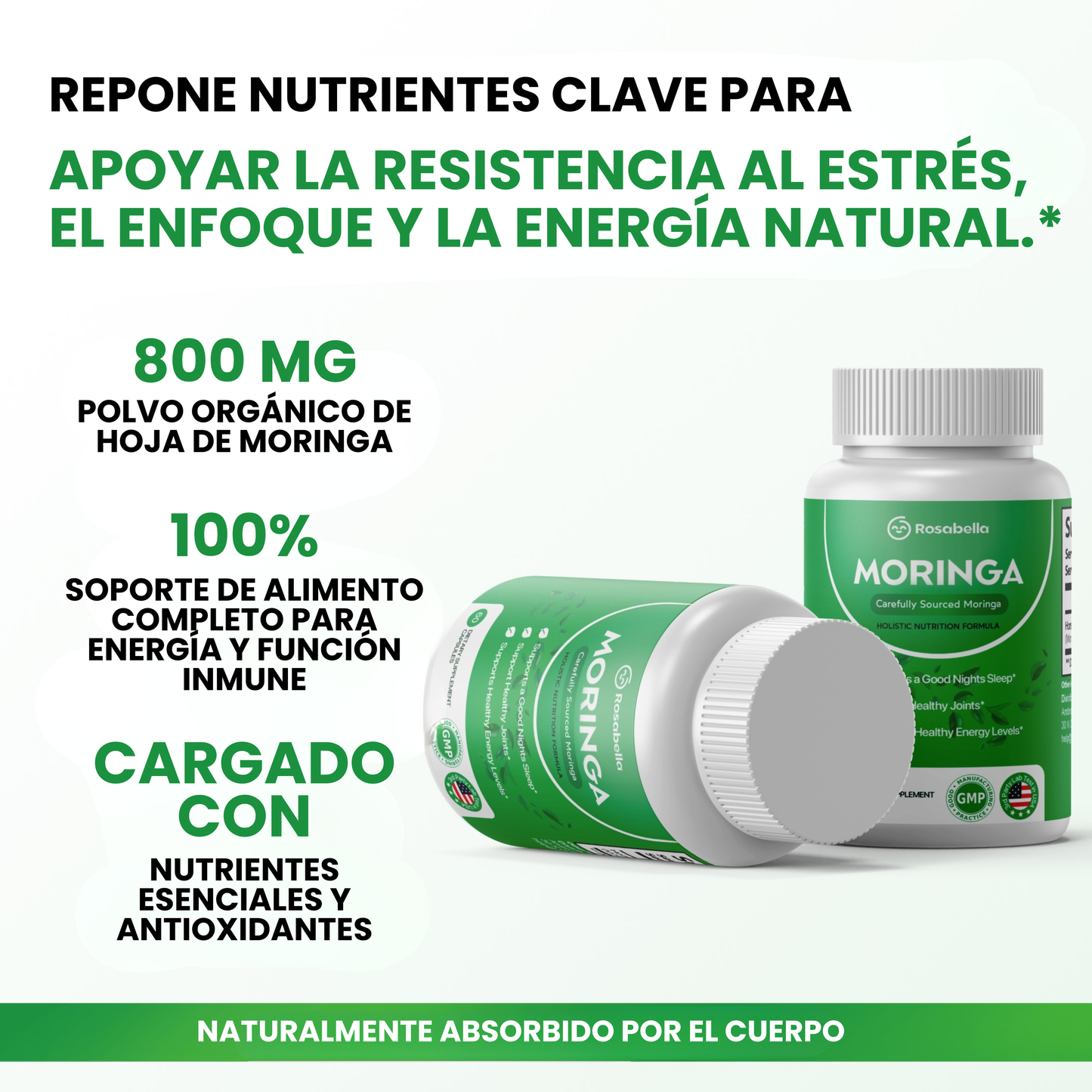 Rosabella Moringa - Soporte natural para tu energía, tu descanso y tu bienestar emocional